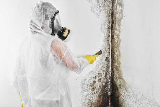 Best Mold Remediation for Healthcare Facilities  in Miles, TX